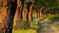 无敌炸金花下载-无敌炸金花下载，解锁娱乐新体验